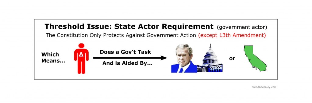 Constitutional Law Threshold Issue State Actor Requirement